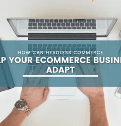 How Can Headless Commerce Help Your eCommerce Business Adapt?