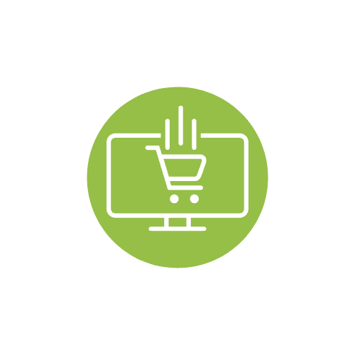 Ecommerce Store Solutions